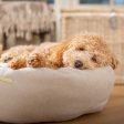 Donut Bed With Removable Covers in Natural Herringbone Tweed by Lords & Labradors Online