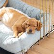 Cosy & Calming Puppy Crate Bed With Removable Covers In Inchmurrin Iceberg by Lords & Labradors Hot on Sale