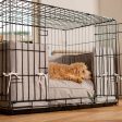 Dog Crate Bumper in Inchmurrin Ground by Lords & Labradors Cheap