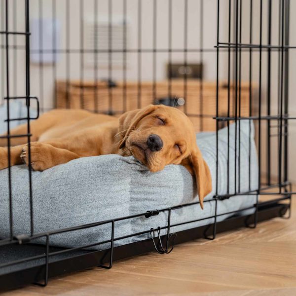 Cosy & Calming Puppy Crate Bed With Removable Covers In Inchmurrin Iceberg by Lords & Labradors Hot on Sale