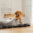 Cosy & Calming Puppy Crate Bed With Removable Covers In Inchmurrin Ground by Lords & Labradors For Sale