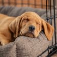 Cosy & Calming Puppy Crate Bed With Removable Covers In Inchmurrin Umber by Lords & Labradors Hot on Sale