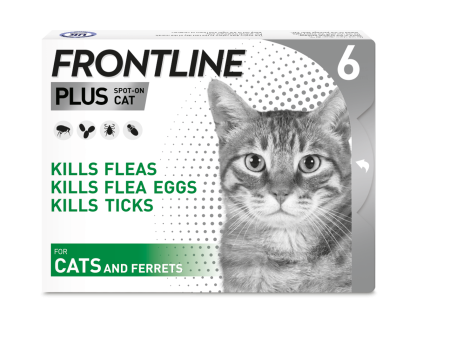 Frontline Plus for Cats x6 Sale