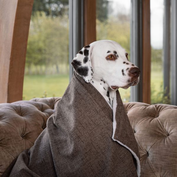 Dog & Puppy Blanket in Inchmurrin Umber by Lords & Labradors Online Hot Sale